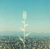 LFL0907_tsubomi.jpg