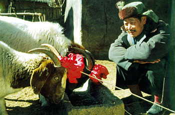 hituji.jpg