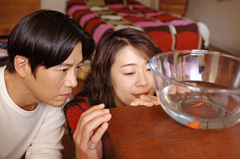 yawarakai.jpg