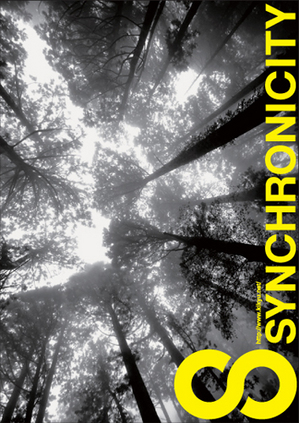 synchro08_flyer_500.jpg